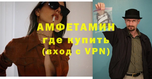 сатива Новодвинск
