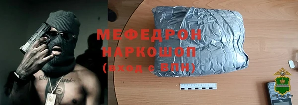 сатива Новодвинск