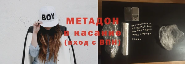 сатива Новодвинск