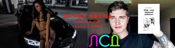 прущие крисы Новокубанск