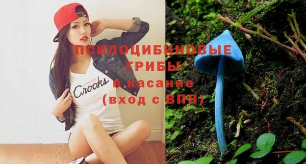 ешки Новозыбков