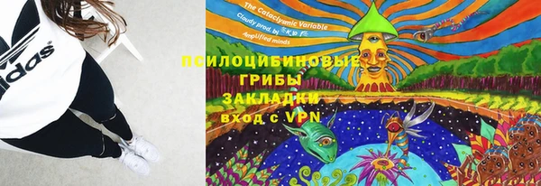прущие крисы Новокубанск