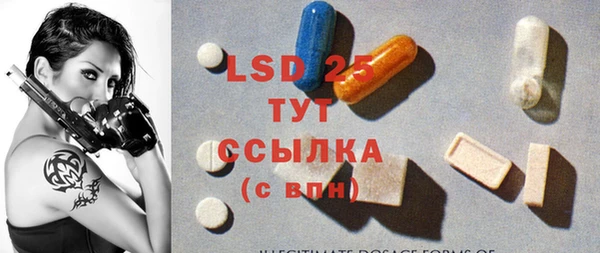 сатива Новодвинск