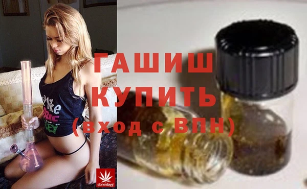 сатива Новодвинск