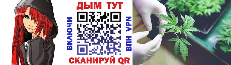 Шишки марихуана индика  Советск 